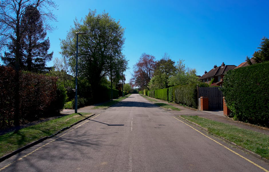 A quiet residential street with a smooth asphalt road flanked by well-maintained green hedges and mature trees on both sides. The sky above is clear and bright blue, indicating a sunny day with minimal cloud cover. The hedges, varying in height and dense foliage, provide privacy to the houses partially visible behind them on the right side, which have dark tiled roofs and brick chimney stacks. A single streetlight pole stands on the left side near the foreground, casting a shadow across the pavement. Sidewalks with narrow strips of grass run parallel to the curb, which is marked with faint yellow lines near the edges of the road. The scene suggests a tranquil suburban environment typical of areas covered by private waste removal services like those offered by Rubbish Clearance Enfield, suitable for on-site clearance or independent collection of rubbish from streets and estate frontages. The overall image captures a clean, orderly setting emphasizing the importance of maintaining clear streets through professional rubbish removal.
